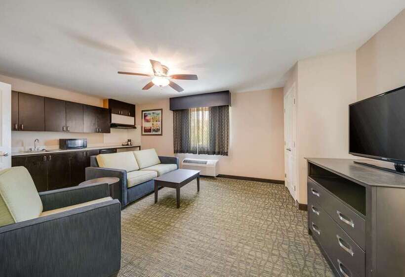 호텔 Quality Inn & Suites