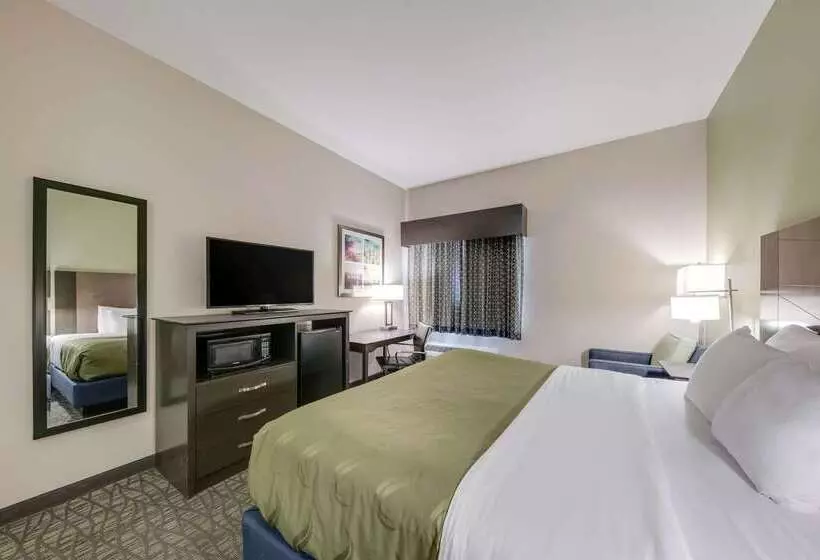 ホテル Quality Inn & Suites