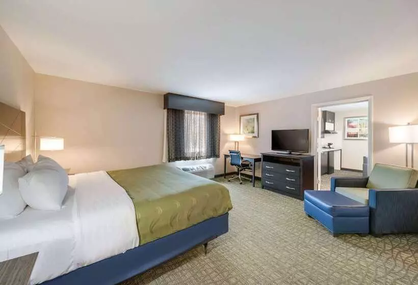 ホテル Quality Inn & Suites