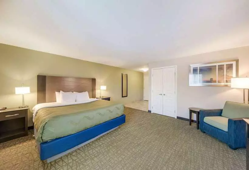 ホテル Quality Inn & Suites