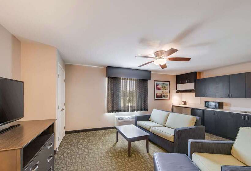 호텔 Quality Inn & Suites