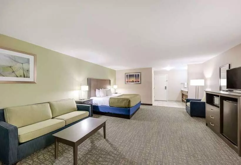 ホテル Quality Inn & Suites