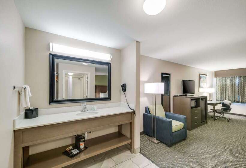 호텔 Quality Inn & Suites