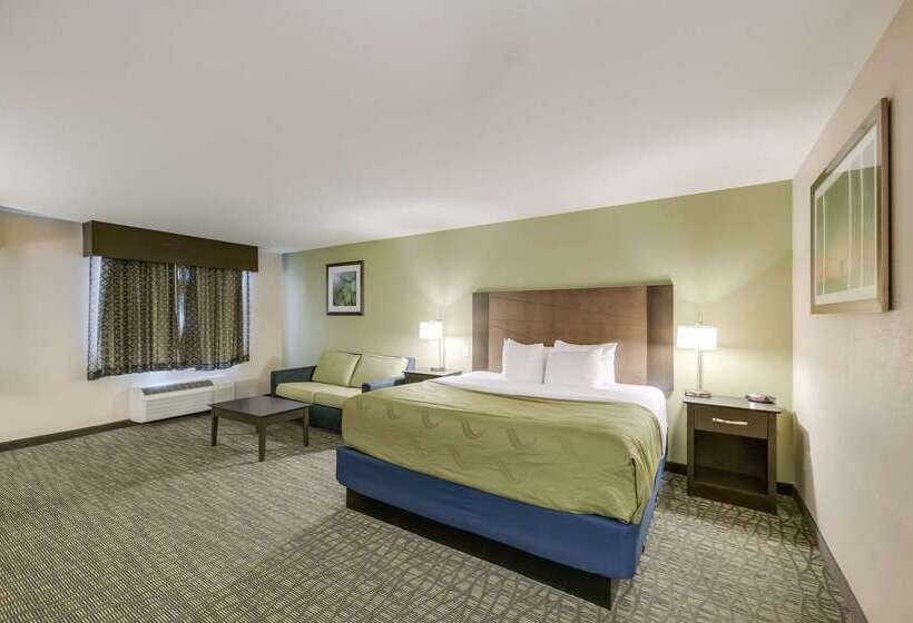 호텔 Quality Inn & Suites