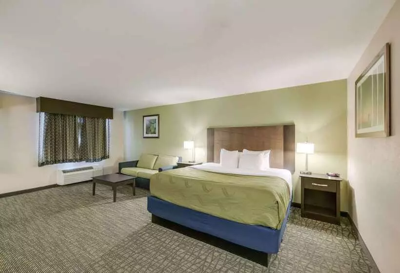 ホテル Quality Inn & Suites