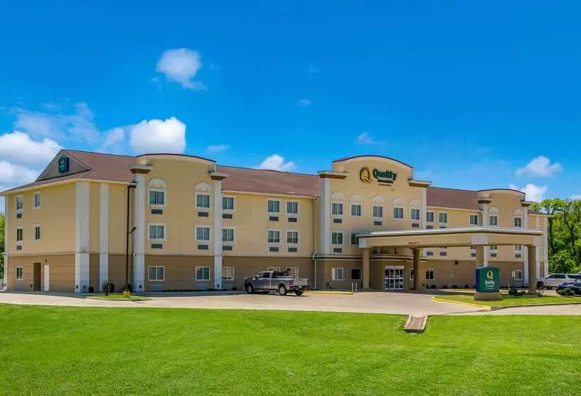 ホテル Quality Inn & Suites