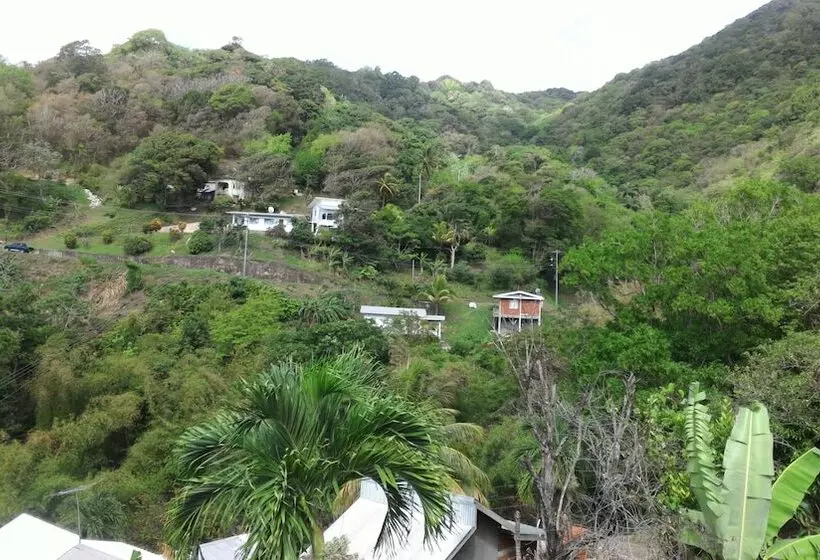 پانسیون Grand View Guesthouse