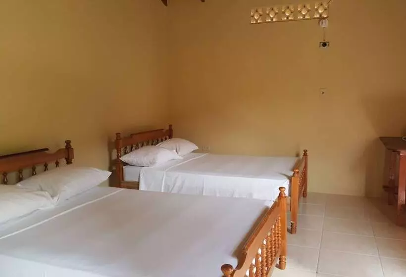 پانسیون Grand View Guesthouse