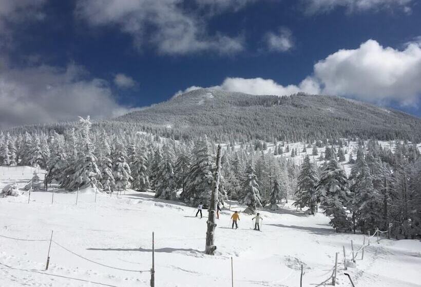 ノマの森 Nomanomori B&b