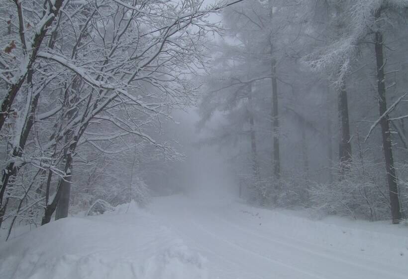 ノマの森 Nomanomori B&b