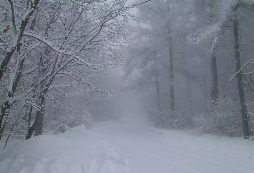 ノマの森 Nomanomori B&b