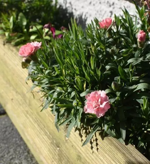 مبيت وإفطار Eaton House