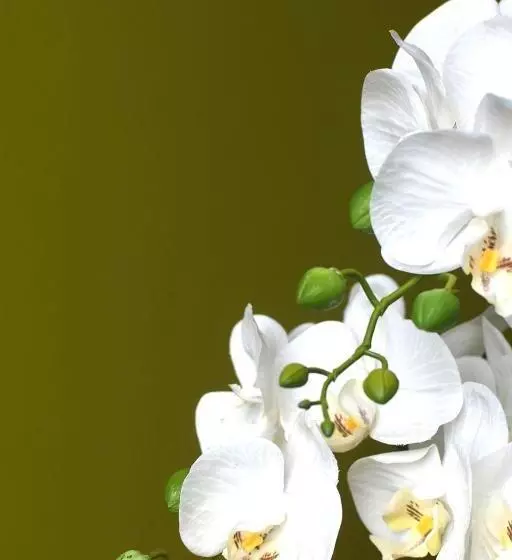 مبيت وإفطار Eaton House