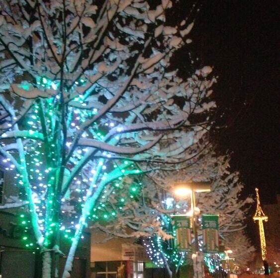 Guest House Asahikawa Ride   Hostel