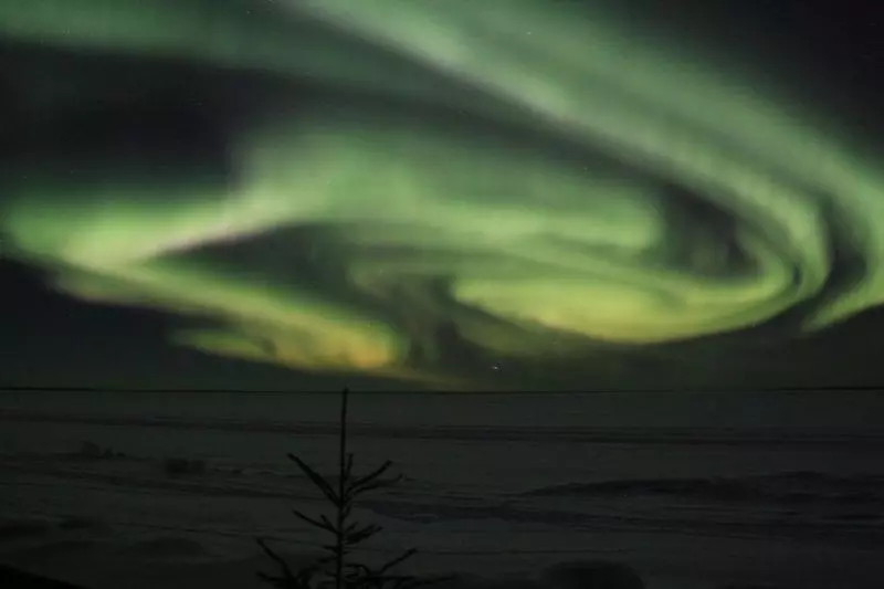 Hotel Holiday Inn Express & Suites Cold Lake, An Ihg