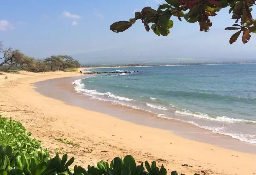 Hotelli Maalaea Kai 305