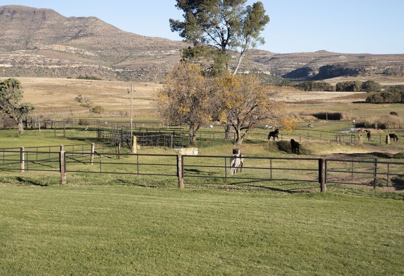 فندق Moolmanshoek Private Game Reserve