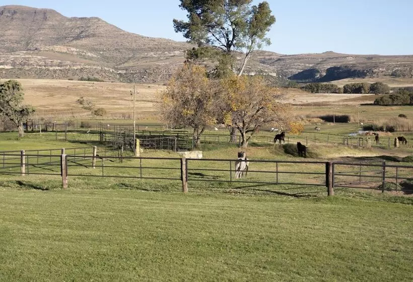 酒店 Moolmanshoek Private Game Reserve