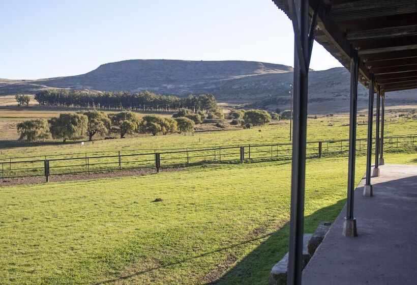 فندق Moolmanshoek Private Game Reserve