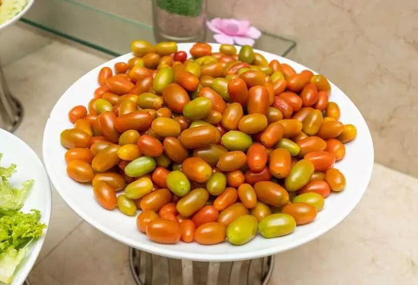 Paris Hotel & Apartment Nha Trang