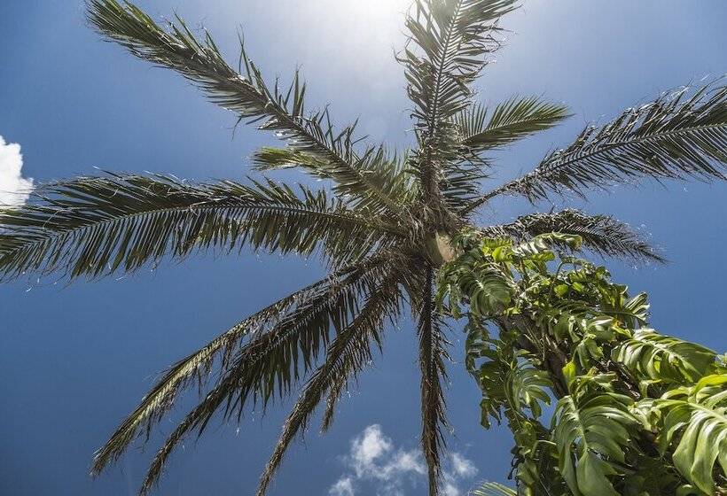 בית מלון כפרי Jusandi