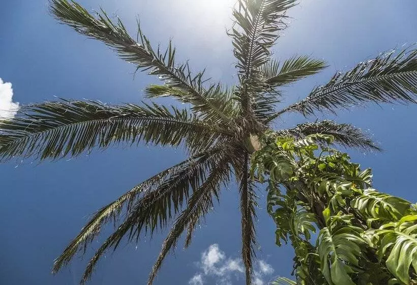 בית מלון כפרי Jusandi