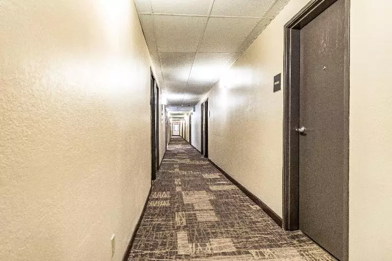 ホテル Red Roof Inn Plus+ Huntsville