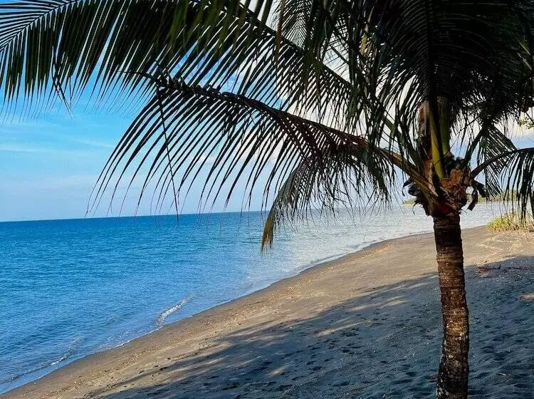 Отель Rinjani Beach Eco Resort