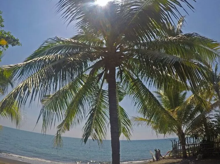 Отель Rinjani Beach Eco Resort