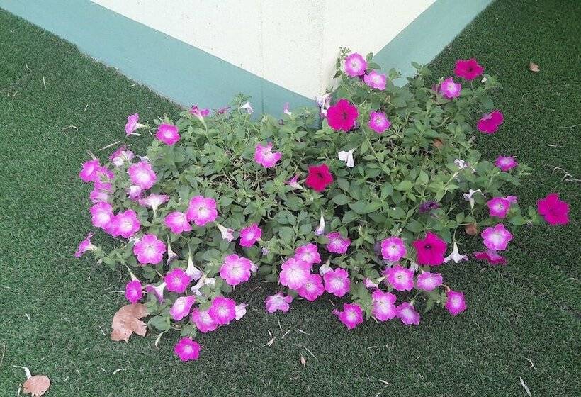 فندق Wangnong Resort