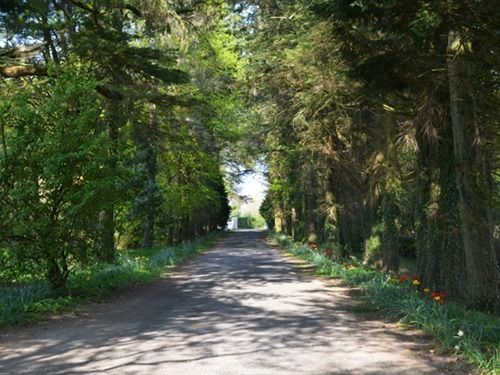 مبيت وإفطار Ballinahoun House