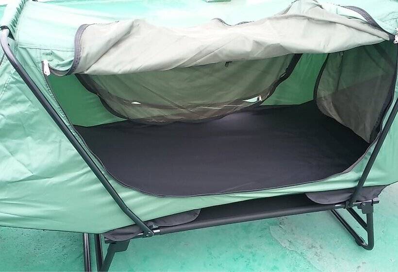 بنسيون Oxbloodk