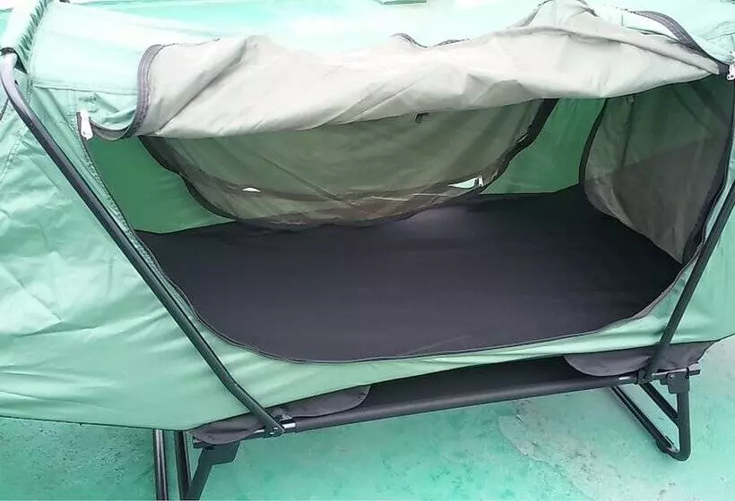 פנסיון Oxbloodk