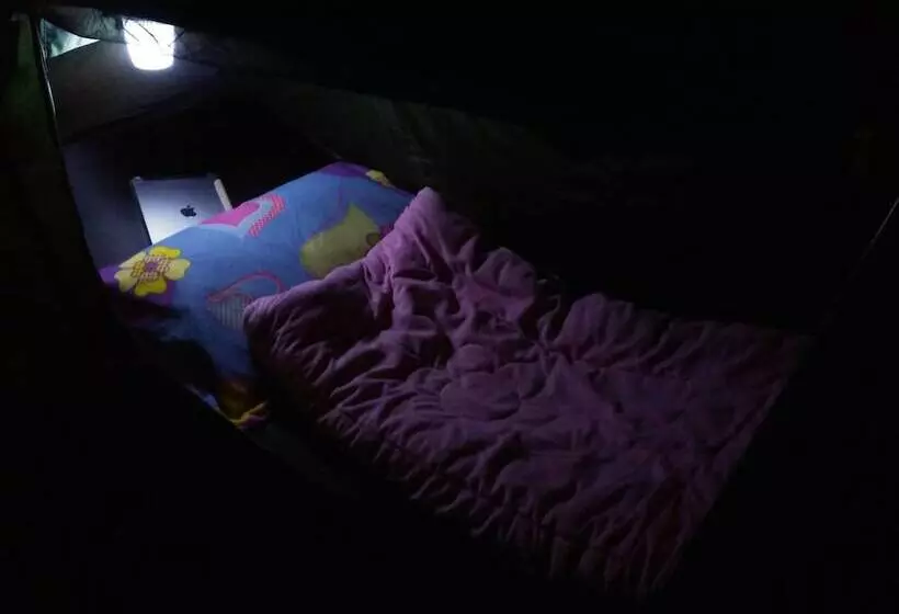 פנסיון Oxbloodk