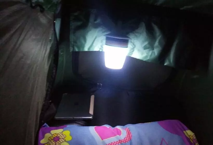 פנסיון Oxbloodk