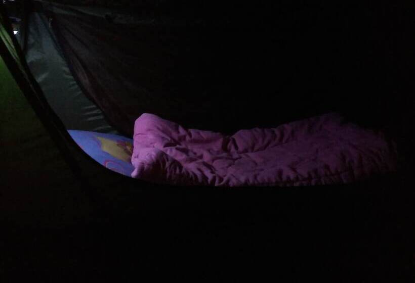 بنسيون Oxbloodk