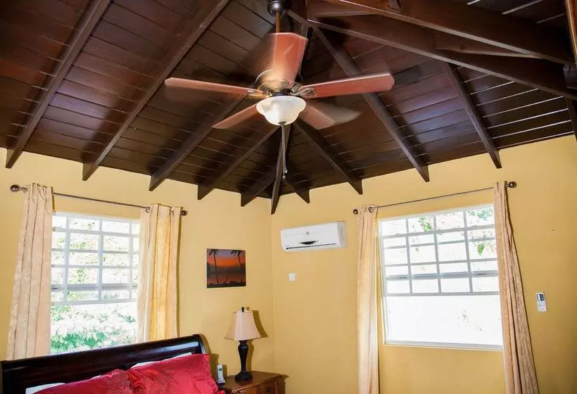Villa Riana Barbados