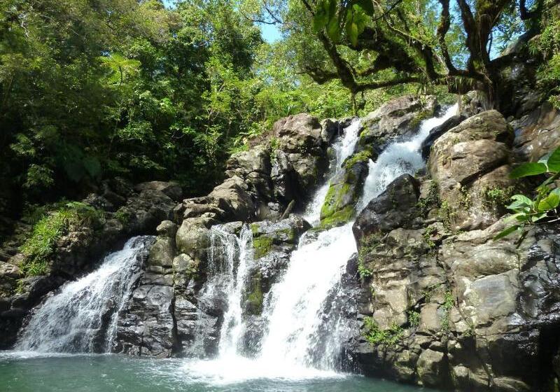 Szálló Maravu Taveuni Lodge