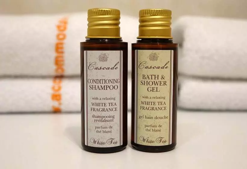 Eel Accommodation Brno