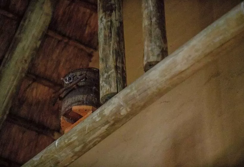 בית מלון כפרי Needles Lodge