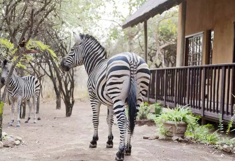 בית מלון כפרי Needles Lodge