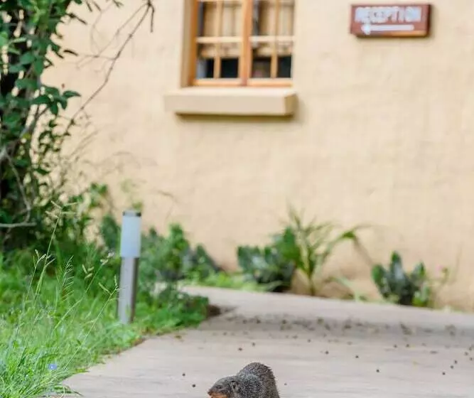 בית מלון כפרי Needles Lodge