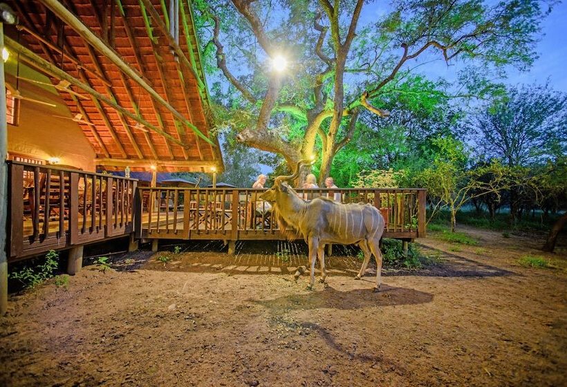 בית מלון כפרי Needles Lodge