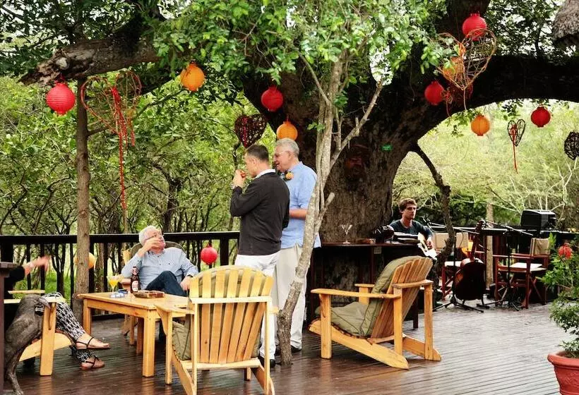 בית מלון כפרי Needles Lodge