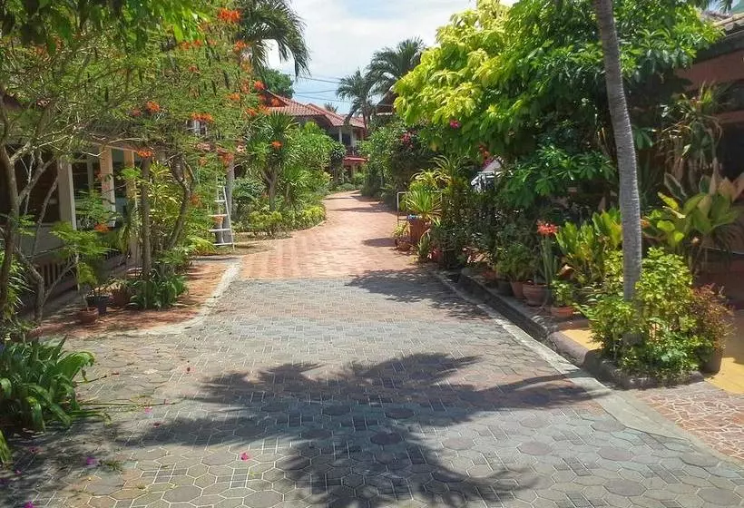 Hotel P&p Samui Resort