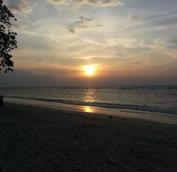 Hotel P&p Samui Resort