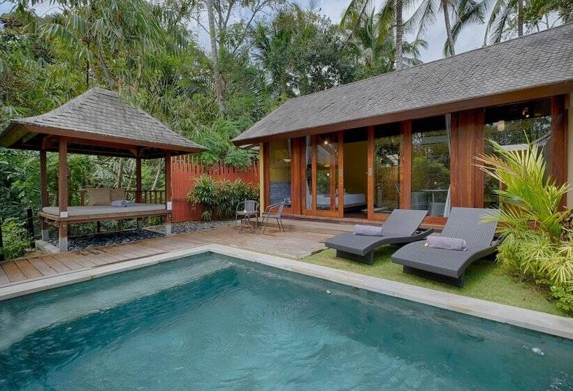 酒店 Samkhya Villas