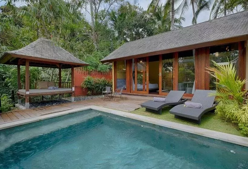 酒店 Samkhya Villas