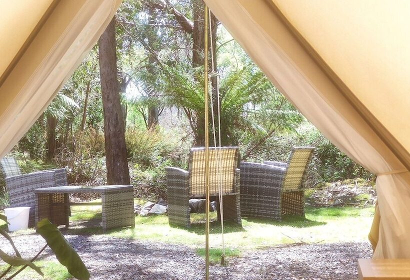 酒店 Glamping At Zeehan Bush Camp