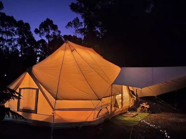 Отель Glamping At Zeehan Bush Camp